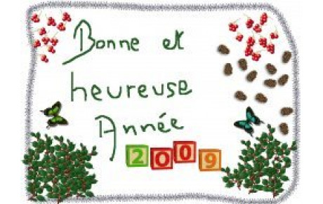 Bonne année 2009